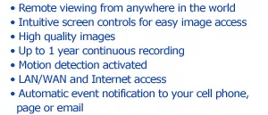 Remote Viewing though IE